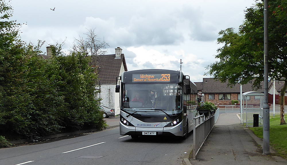 253 Bus